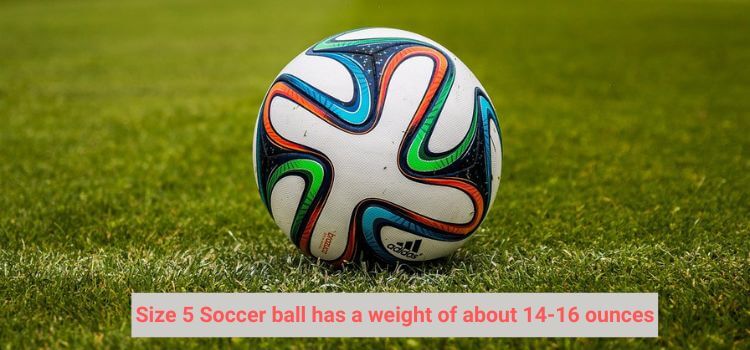 How Much Does A Soccer Ball Weigh 1