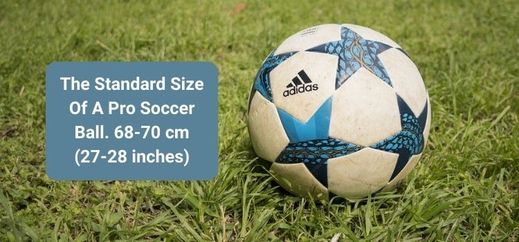 What Size Is A Pro Soccer Ball 2