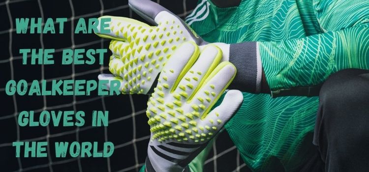 what are the best goalkeeper gloves in the world