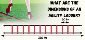 what are the dimensions of an agility ladder